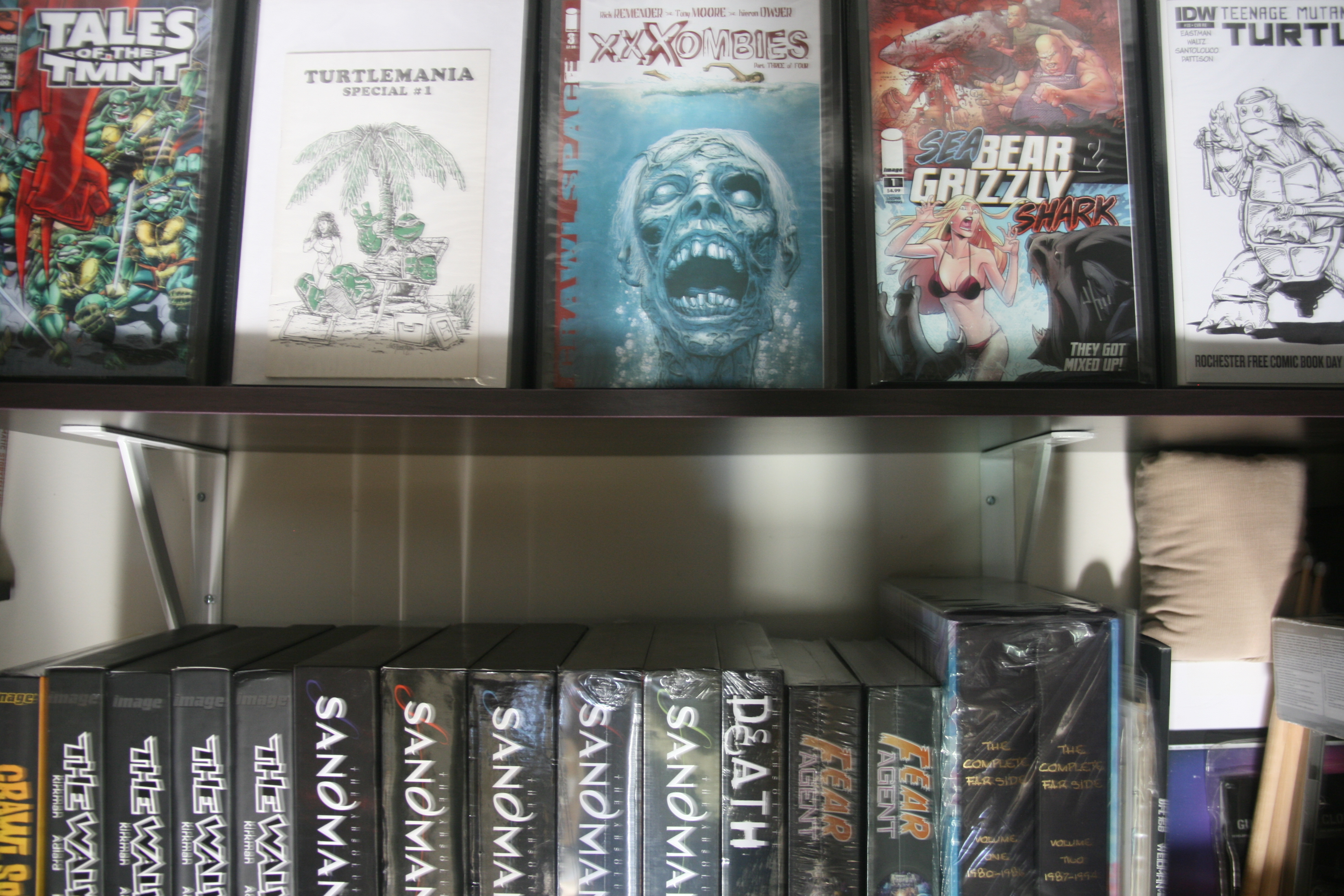 Comic Book Storage Solutions to Collection Storage!