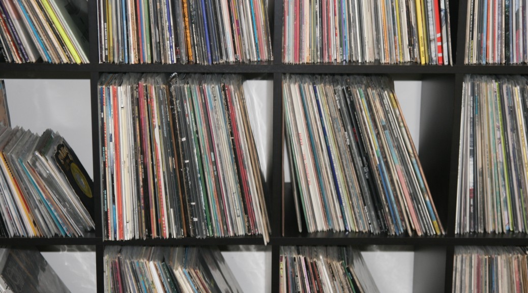 This is the Vinyl Record Storage Solutions section.